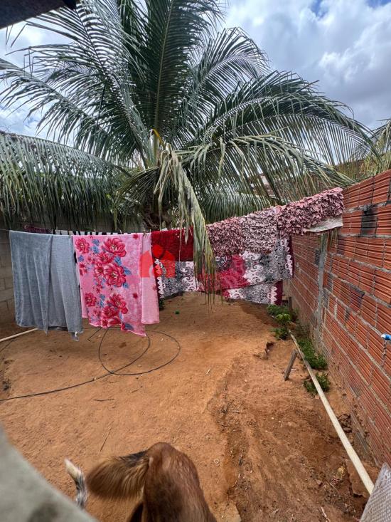 casa-venda-rua-dona-rosinha-vieira-nd-825-varzea-alegre-1135032