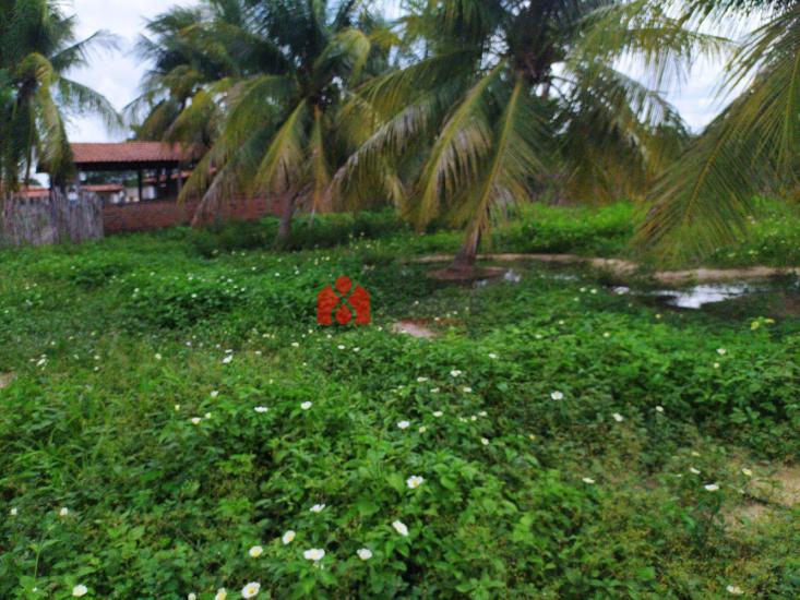 sitio-venda-rua-joao-maciel-pereira-3400-vila-ramalho-1135047