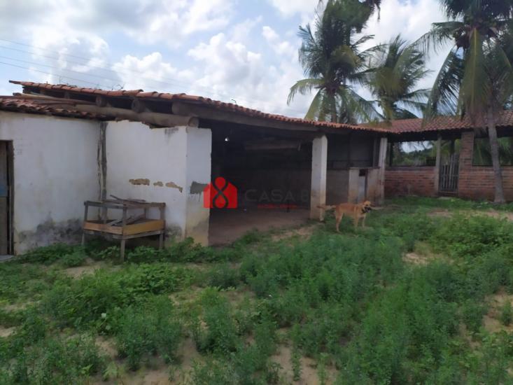 sitio-venda-rua-joao-maciel-pereira-3400-vila-ramalho-1135049