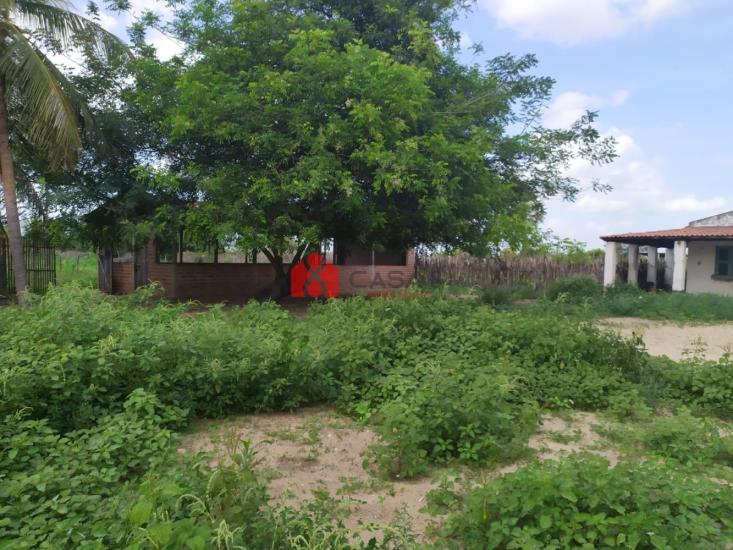 sitio-venda-rua-joao-maciel-pereira-3400-vila-ramalho-1135052