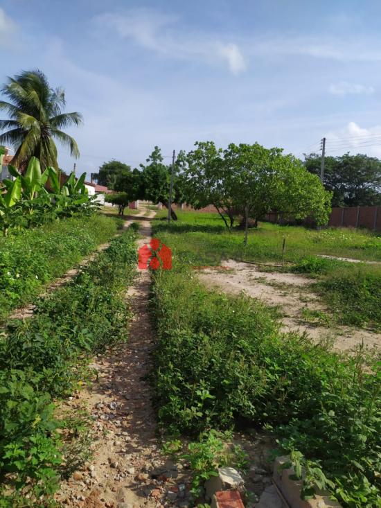 sitio-venda-rua-joao-maciel-pereira-3400-vila-ramalho-1135054