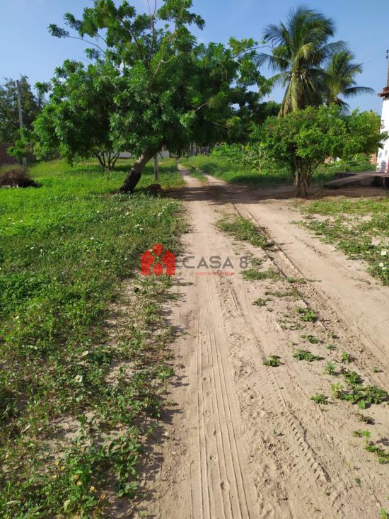 sitio-venda-rua-joao-maciel-pereira-3400-vila-ramalho-1135044